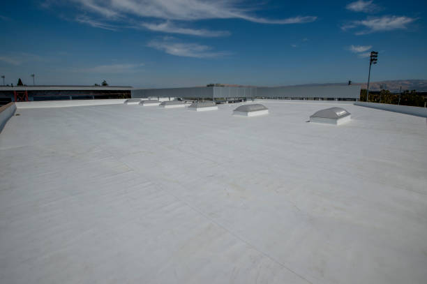 Best Skylights  in Chesapeake, WV