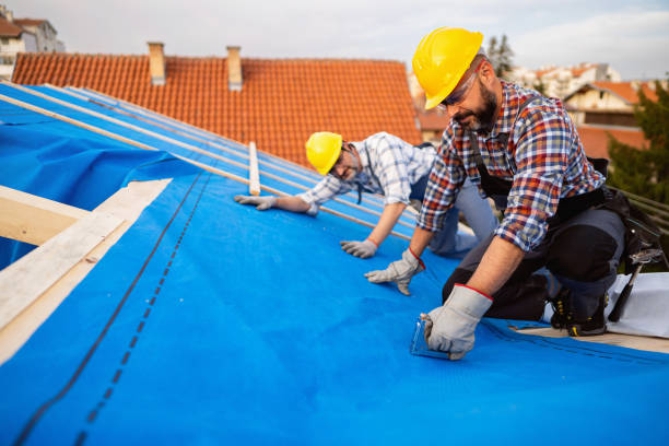 Best Roof Coating and Sealing  in Chesapeake, WV