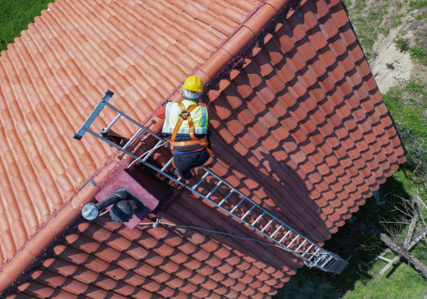 Best Roof Maintenance and Cleaning  in Chesapeake, WV